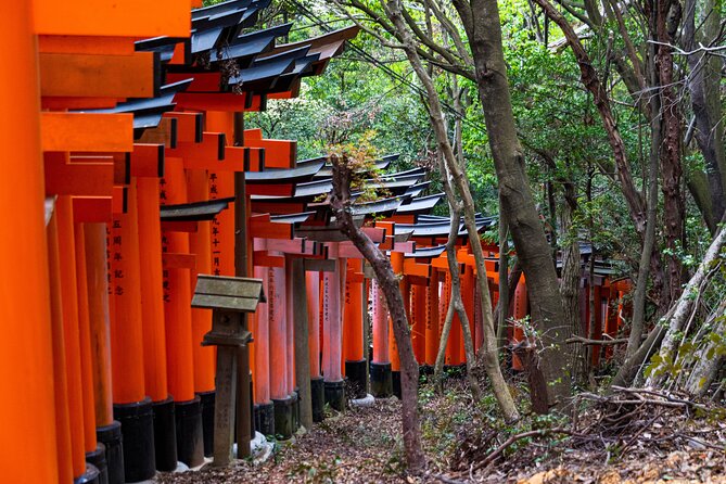 Osaka/Kyoto: Arashiyama, Fushimi Inari & Nara Park Day Trip - Tenryu-ji Temple: UNESCO calm plus a 500 yen ticket
