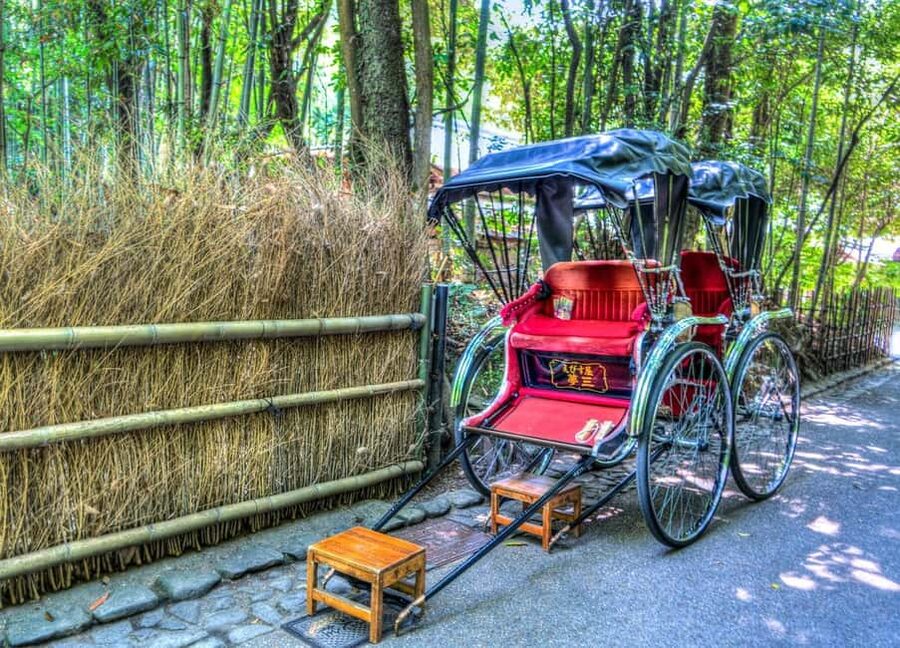 Osaka/Kyoto: Arashiyama, Nara Park, Fushimi Shrine Tour - Arashiyama Bamboo Trails and Togetsukyo Bridge Free Time