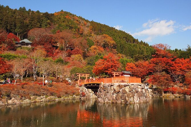 Osaka / Kyoto: Katsuoji, Arashiyama & Kinkaku-ji One Day Tour - Arashiyama Rilakkuma Tea House: a short break that prevents day fatigue