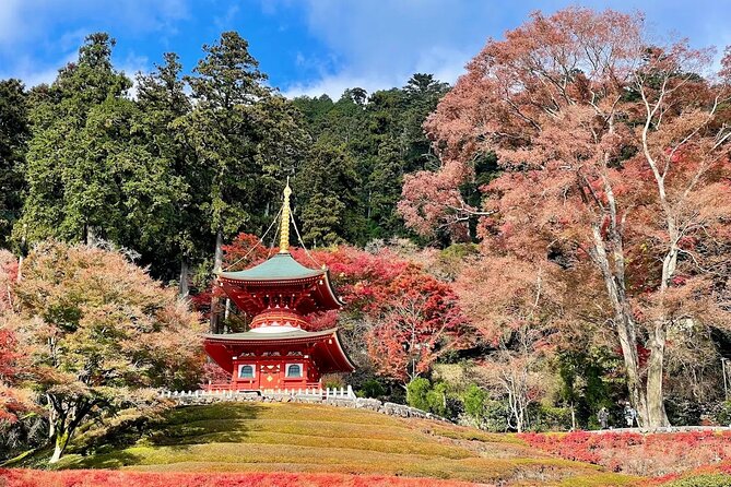 Osaka / Kyoto: Katsuoji, Arashiyama & Kinkaku-ji One Day Tour - Price and value: what $54.90 really covers (and what it doesn’t)