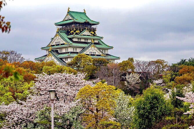Osaka & Kyoto & Nara Top Hightlights English Speaking Tour - Stop 2 Fushimi Inari Taisha and the Senbon Torii Route