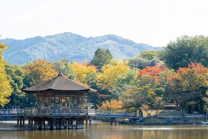 Osaka & Kyoto & Nara Top Hightlights English Speaking Tour - Shinsaibashi as Your Finish Line, Not a Kyoto Return