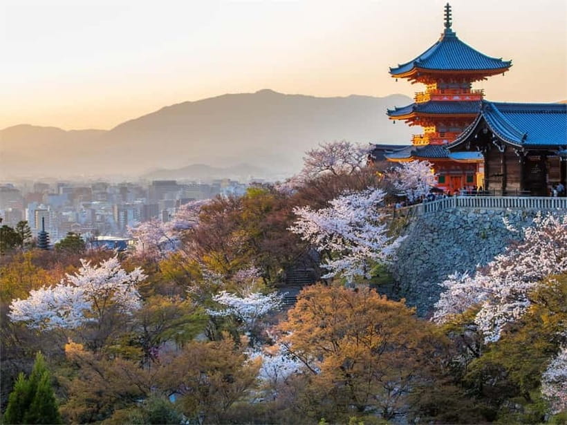 Osaka: Kyoto & Uji Historical Sites and Scenic Delights Tour - Uji River And Tea Town Pace Change: A Different Side of Kansai