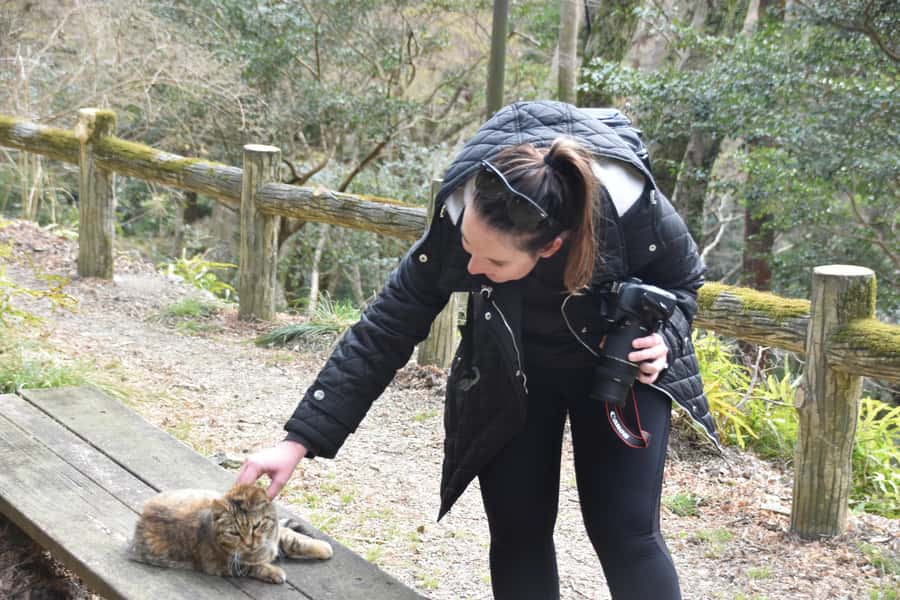 Osaka: Mino Forest Walk and Giant Waterfall with Local Lunch - Should you book this tour?