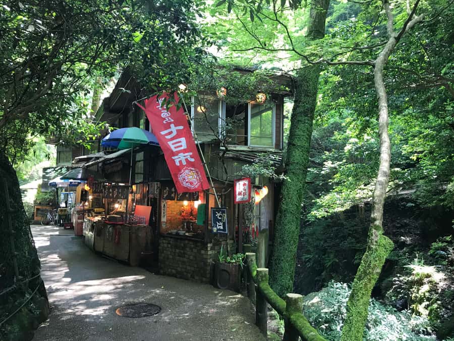 Osaka: Mino Forest Walk and Giant Waterfall with Local Lunch - The easier return walk, then a real lunch