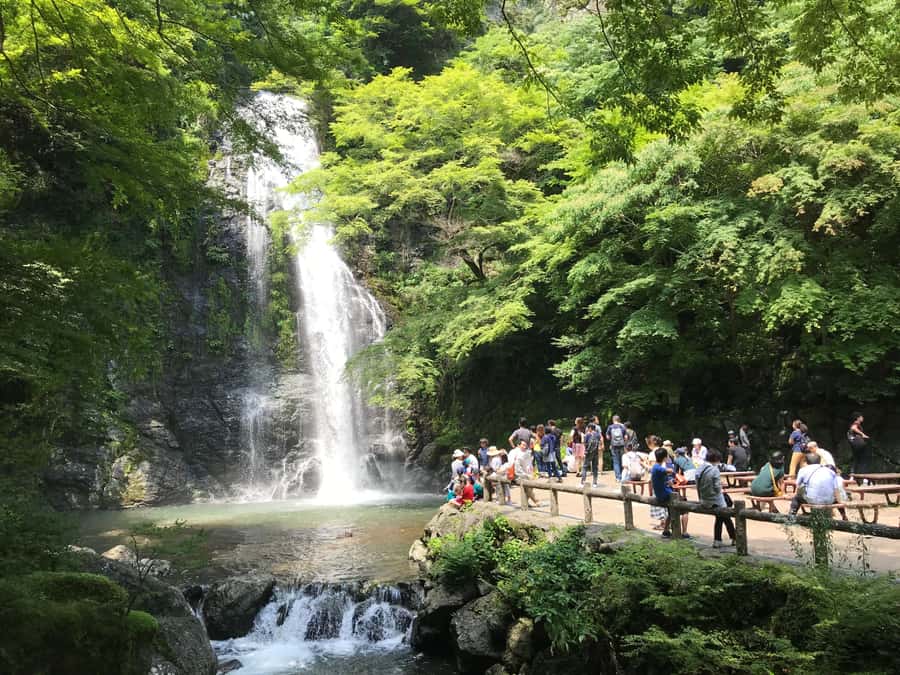 Osaka: Mino Forest Walk and Giant Waterfall with Local Lunch - Mino’s cultural hour: riverside paths, a temple visit, and seasonal stops
