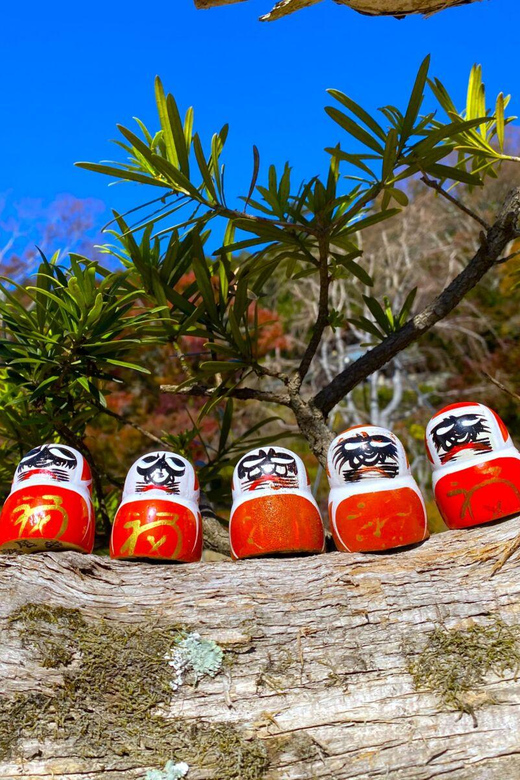 Osaka: Minoh, Katsuoji Temple, & Minoh Falls Full-day Tour - Price and value: why $135 can make sense for this kind of day
