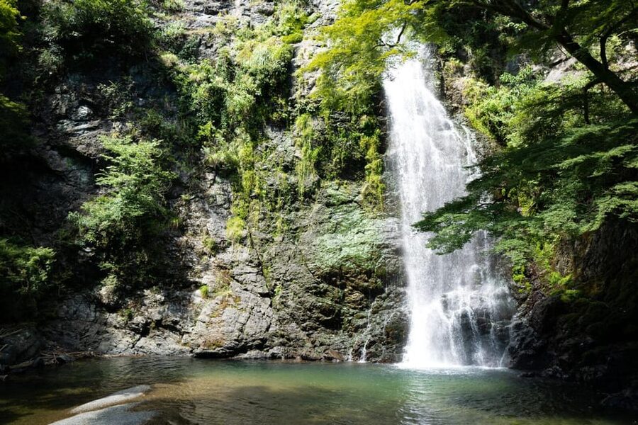 Osaka: Minoh, Katsuoji Temple, & Minoh Falls Full-day Tour - Who this tour is perfect for, and who should skip