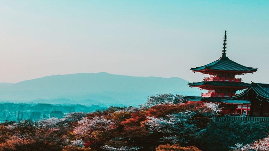 Osaka : Must-see & Hidden Gems Walking Tour - Starting in Namba, what this 3-hour walking route feels like