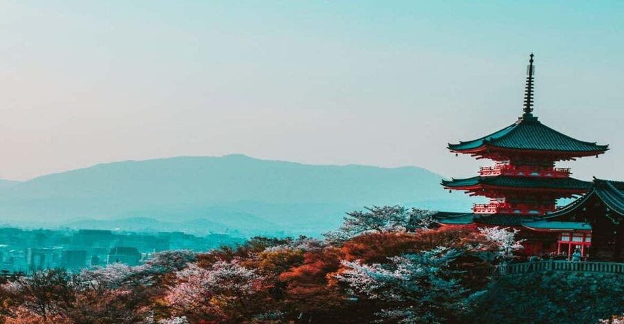Osaka : Must-see & Hidden Gems Walking Tour - Harukas 300 viewpoints plus the underground food hall payoff