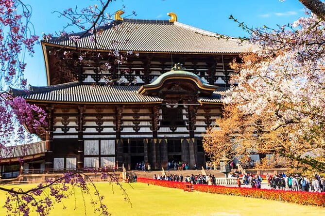 Osaka: Nara, Todaiji, Uji Matcha, and Hot Spring Tour - Nara Park and Tōdai-ji, the day’s classic wow-factor