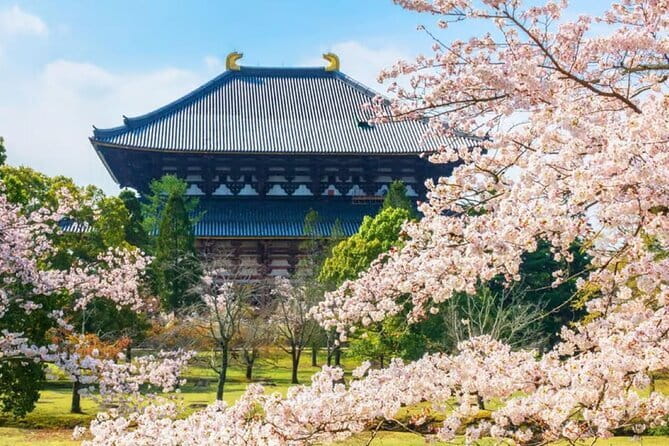Osaka: Nara, Todaiji, Uji Matcha, and Hot Spring Tour - Kasuga-taisha’s lantern vibe and the art of not rushing
