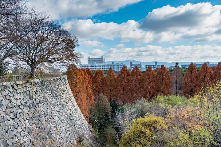 Osaka: Osaka Castle 3 hours Historical Walking Tour - Observation Deck Views: Osaka’s Skyline From the Castle