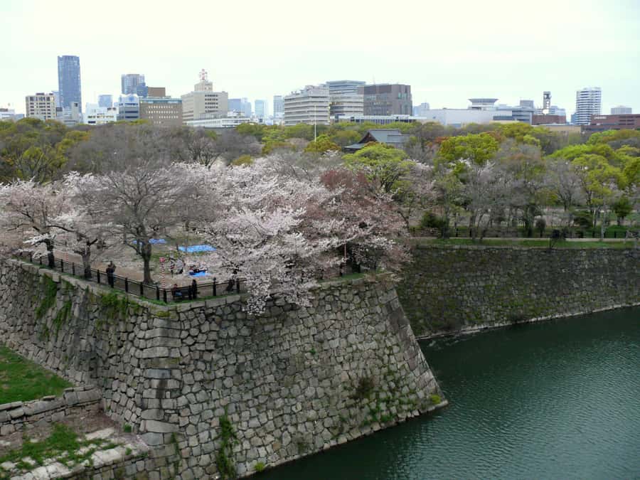 Osaka: Osaka Castle 3 hours Historical Walking Tour - Nishinomaru Garden: Samurai-Era Calm in a Photo-Friendly Space