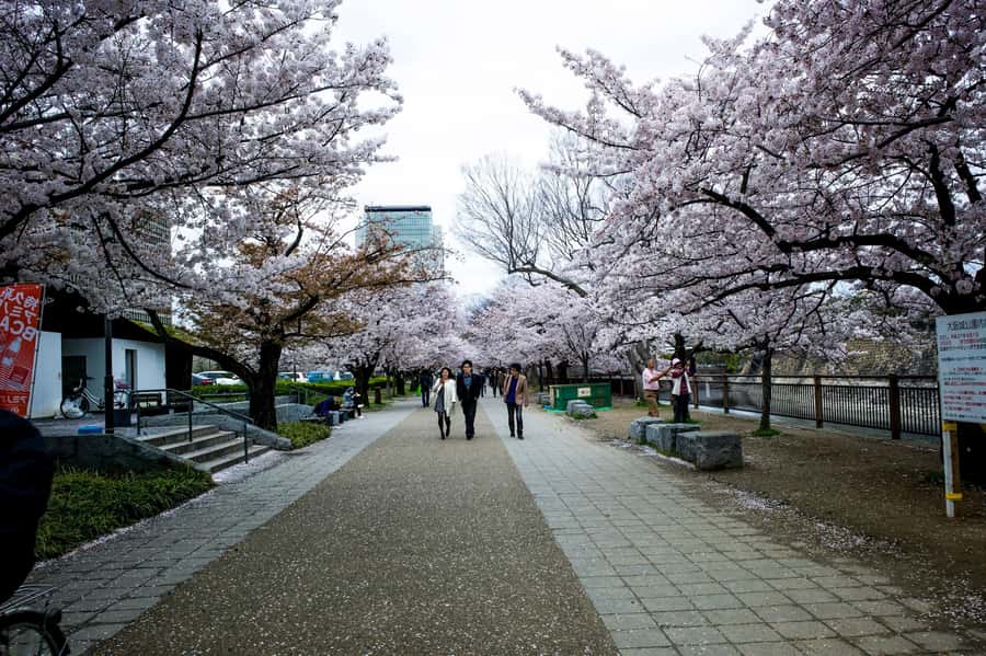 Osaka: Osaka Castle 3 hours Historical Walking Tour - Osaka Castle Park: Where Locals Jog and Do Martial Arts