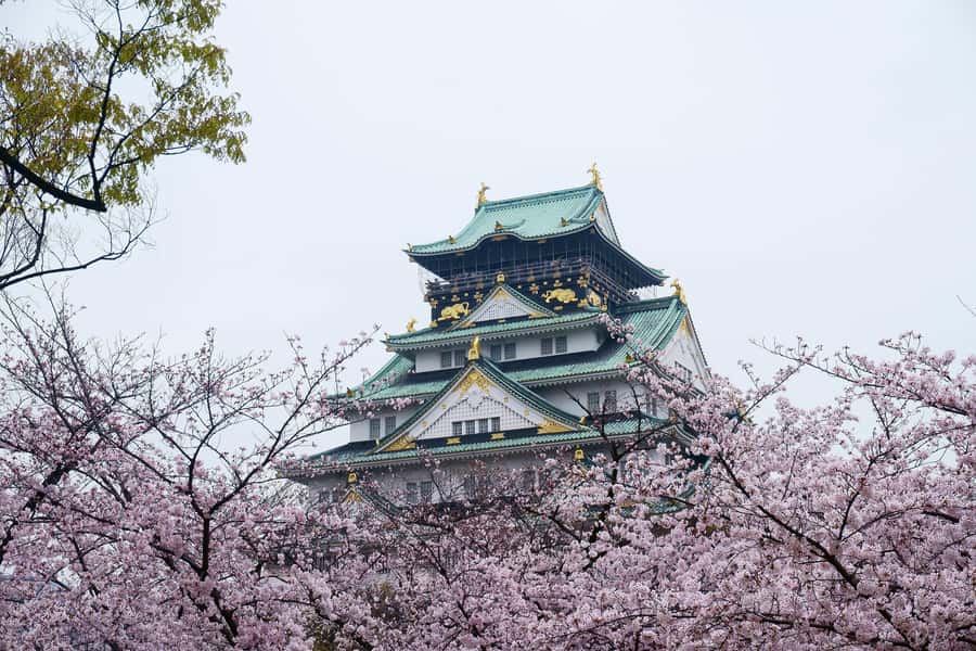 Osaka: Osaka Castle 3 hours Historical Walking Tour - Hokoku Shrine: Closing the Walk Around Toyotomi Hideyoshi