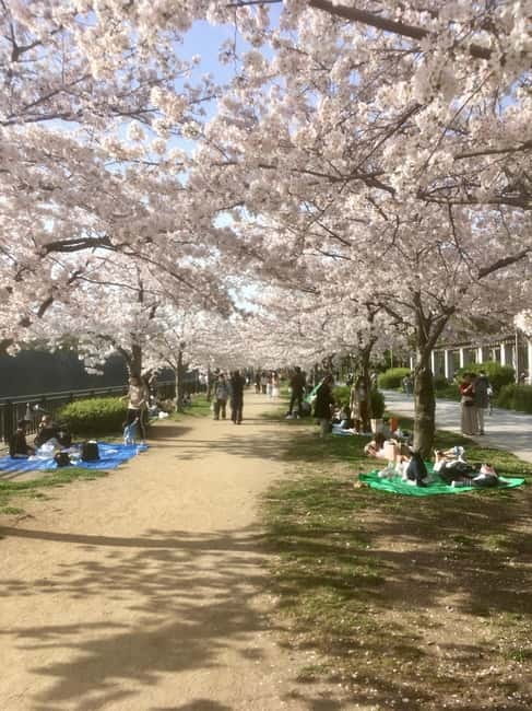 Osaka: Private and Fully Customized Tour with Hotel Meet Up - The train hop to Shinsekai, where Osaka gets real