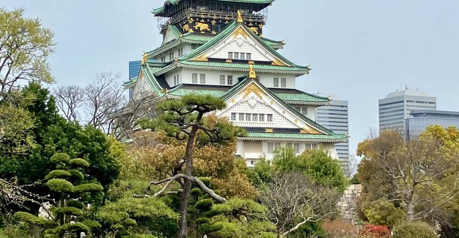 Osaka: Private and Fully Customized Tour with Hotel Meet Up - Kuromon Ichiba Market: short guided time, smart snack strategy