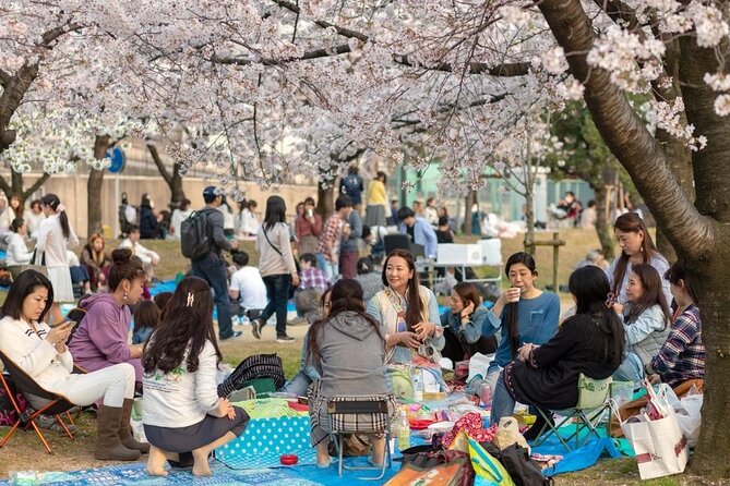 Osaka Private Cherry Blossom Tour with a Local – Picnic Included - Where You Start and How the Day Actually Gets Going