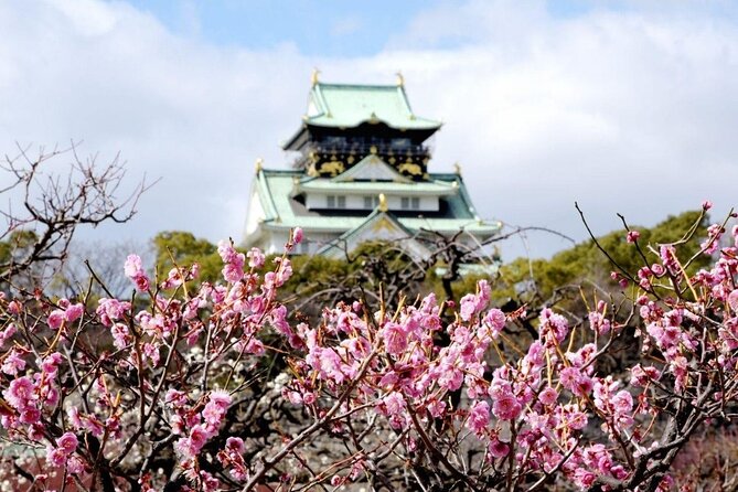 Osaka Private Cherry Blossom Tour with a Local – Picnic Included - Stop 3: Osaka Mint Bureau and Sakura Variety by the Gate
