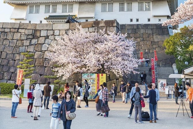 Osaka Private Cherry Blossom Tour with a Local – Picnic Included - Stop 4: A Buddhist Temple Garden with Four Heavenly Kings