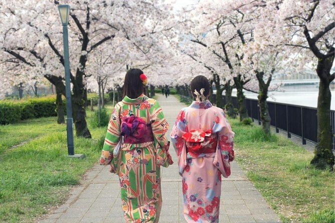 Osaka Private Cherry Blossom Tour with a Local – Picnic Included - Stop 1: Riverside Promenade and the 5,000+ Tree View