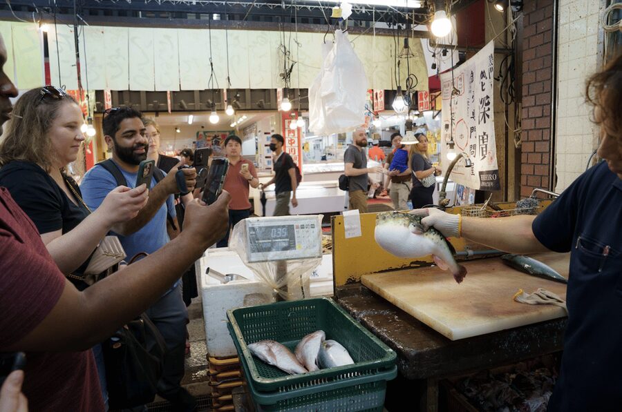 Osaka Private Custom Tour with Local Guide - Should you book it? My straight answer