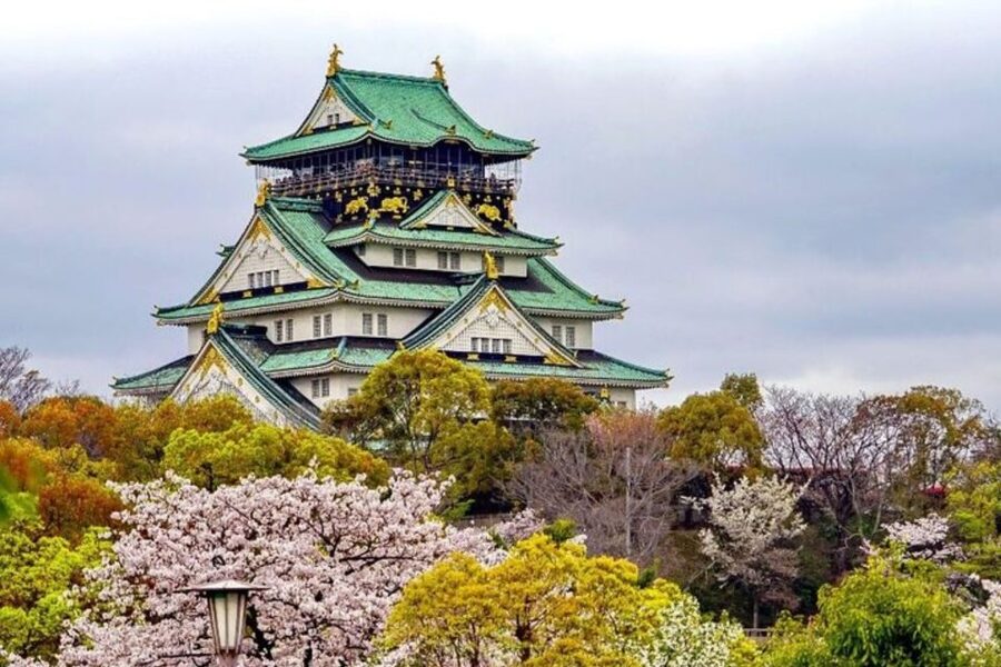 Osaka: Private Custom Walking Tour with a Local Guide - How long should you book in Osaka, 2 hours or a full half-day