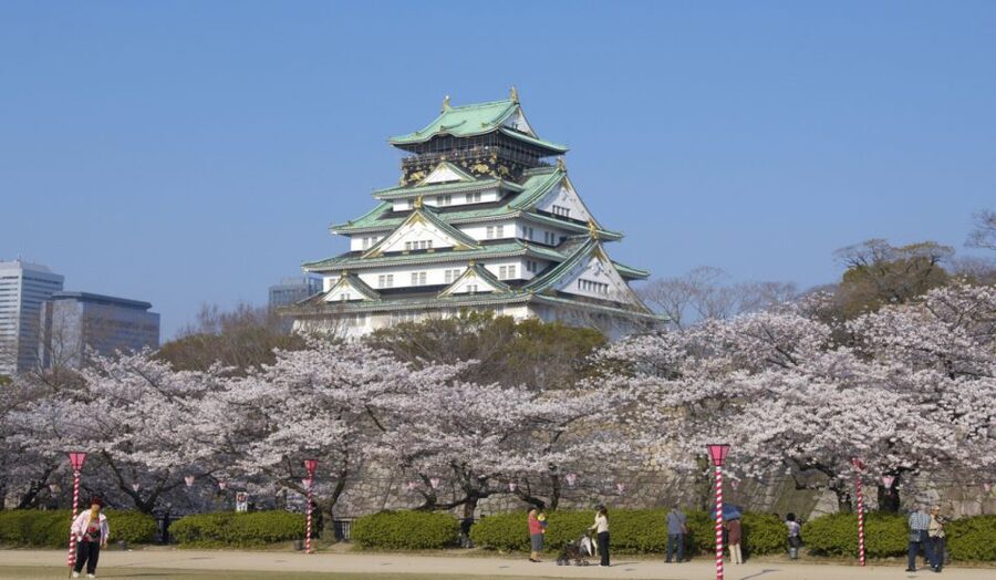 Osaka: Private Customizable Day Tour with Hotel Transfer - Key things to love about this Osaka private day tour