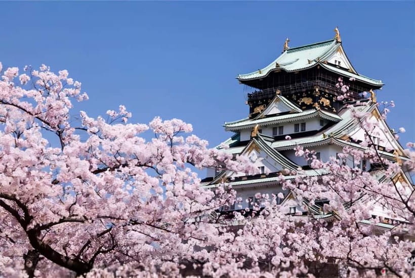 Osaka: Private Customizable Day Tour with Hotel Transfer - Osaka Castle: start with scale, then shift to street life