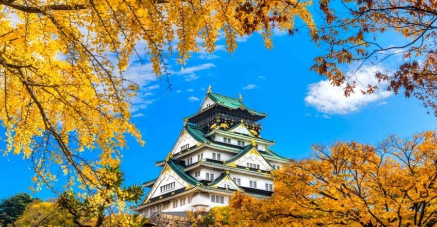 Osaka: Private Customizable Day Tour with Hotel Transfer - Kuromon Ichiba Market: where your stomach plans the schedule