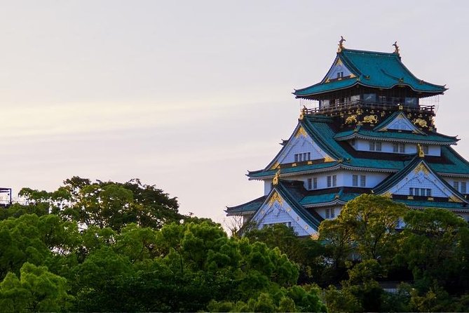 Osaka Private Customizable Half Day Tour - A Private Osaka Plan That Starts With Your Interests