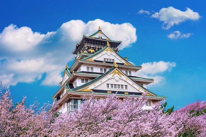 Osaka Private Food Tours by Local Foodies: 100% Personalized - Should You Book This Osaka Food Tour?