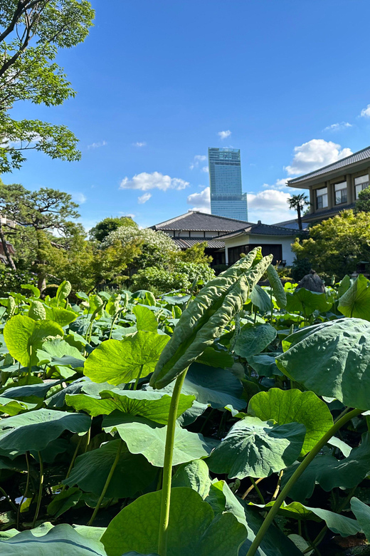 Osaka: Private Tour of Shitennoji, Osaka's Oldest Temple - Who This Private Shitennoji Tour Is Best For