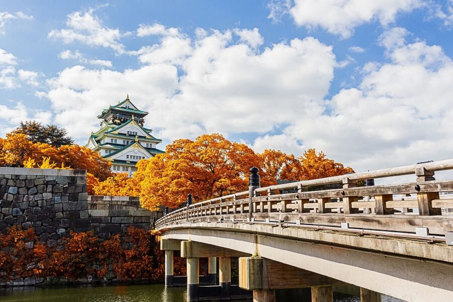 Osaka Private Tour with Government-Licensed Guide - Who This Tour Suits Best (and Who Should Rethink It)