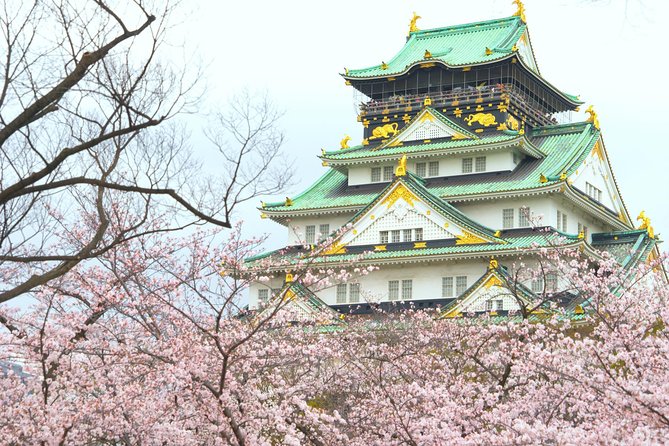 Osaka Private Walking Tour with a Local - The real value: walking with someone who lives the city