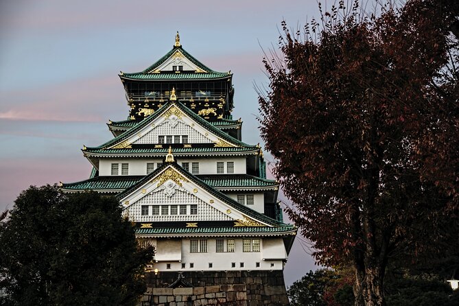 Osaka Private Walking Tour with a Local - What you might see: neighborhoods, food, temples, and views