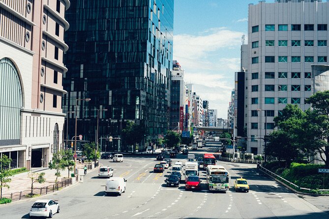 Osaka Private Walking Tour with a Local - Walking logistics you should plan for