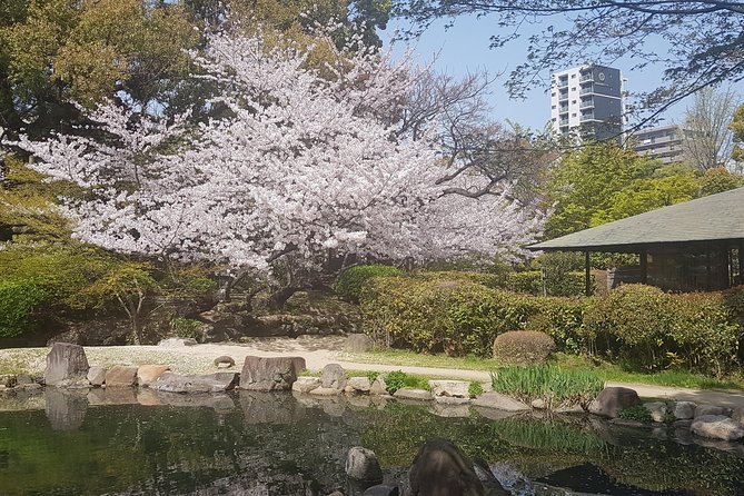 Osaka’s Best and Brightest: Private Full-Day Tour by Vehicle - How the guide turns stops into a coherent Osaka day