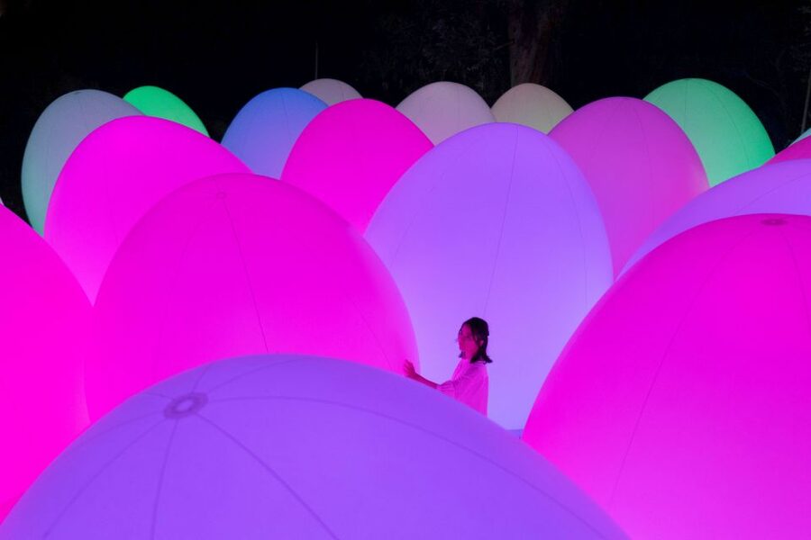 Osaka: teamLab Botanical Garden Entry Ticket - Key highlights to know before you go