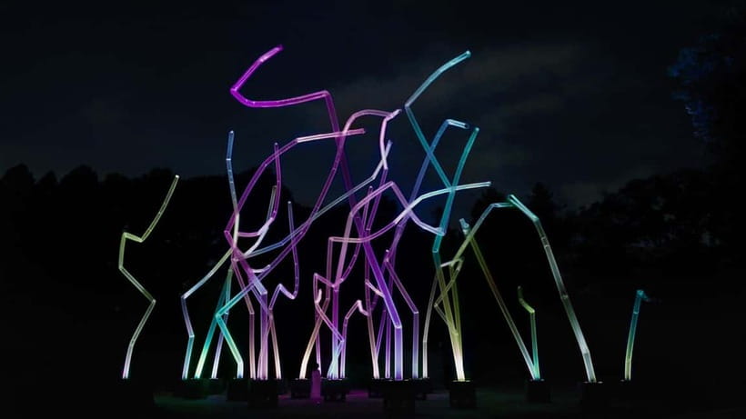 Osaka: teamLab Botanical Garden Entry Ticket - A garden that earns your daylight time, then changes again at night