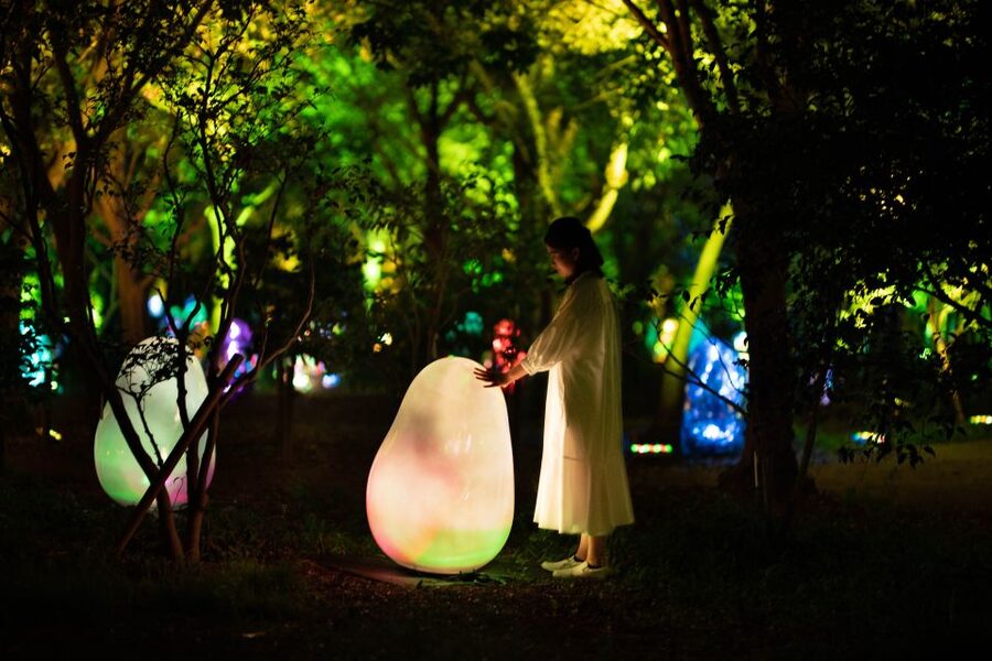 Osaka: teamLab Botanical Garden Entry Ticket - The practical stuff that makes or breaks your evening