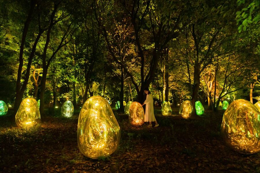 Osaka: teamLab Botanical Garden Entry Ticket - Photos are allowed, but the rules are strict