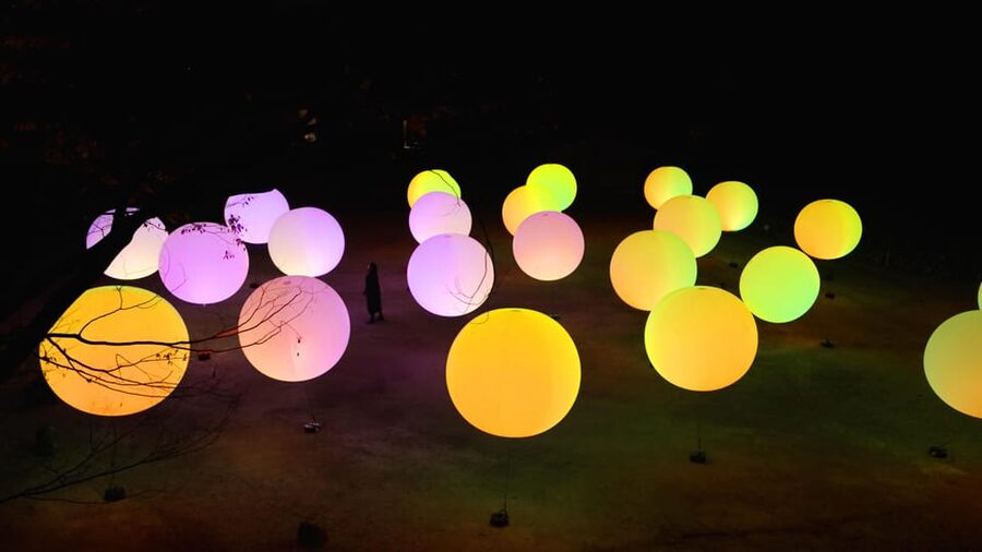 Osaka: teamLab Botanical Garden Entry Ticket - Accessibility and kids: know what might and might not work