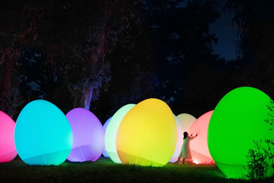 Osaka: teamLab Botanical Garden Entry Ticket - Getting there after dark: simple exit planning