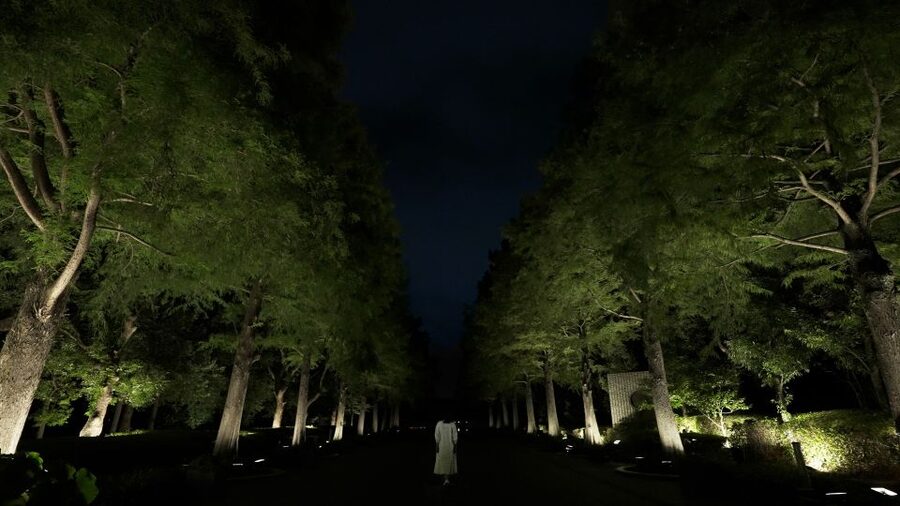 Osaka: teamLab Botanical Garden Entry Ticket - What the teamLab part actually feels like (and why it works)