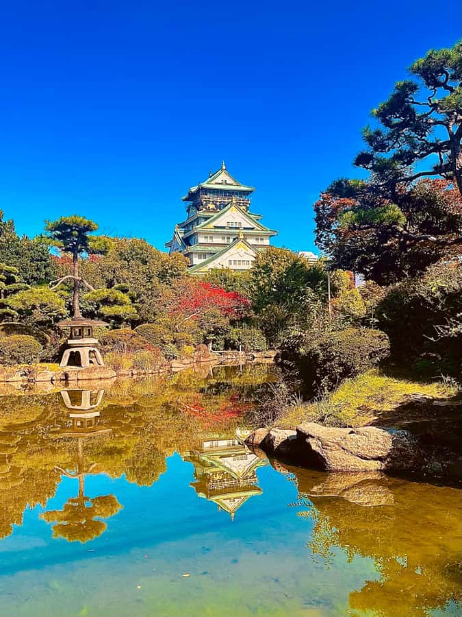 Osaka: Visit the must-see places. - A Spanish guided day that strings Osaka icons into one story