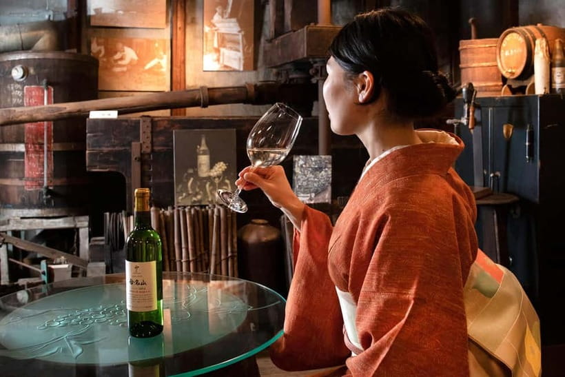 Osaka Winery Tour with Wine Tasting & Vineyard Walk - Key points you’ll care about