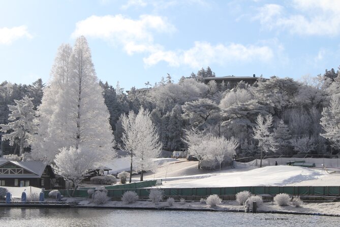Play with Snow Crab Buffet Lunch and Strawberry Picking Bus Tour - Mt. Rokko Snow Park: 1 Hour 30 Minutes of Actual Winter Play