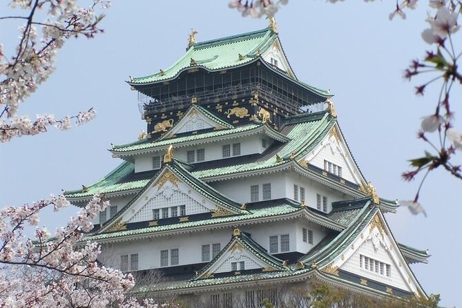 PRIVATE 6hr, Food tour from Osaka Castle, Kuromon, Dotonbori. - Dotonbori Wrap-Up: Glico Sign, Street Energy, and Easy Next Steps